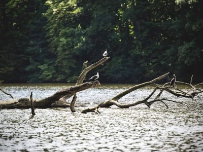 Holiday house 4 star holiday home in Bogense-By Traum - Outdoor photo 39