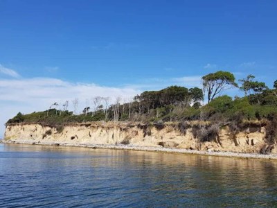 Holiday house 4 star holiday home in Bogense-By Traum - Outdoor photo 40