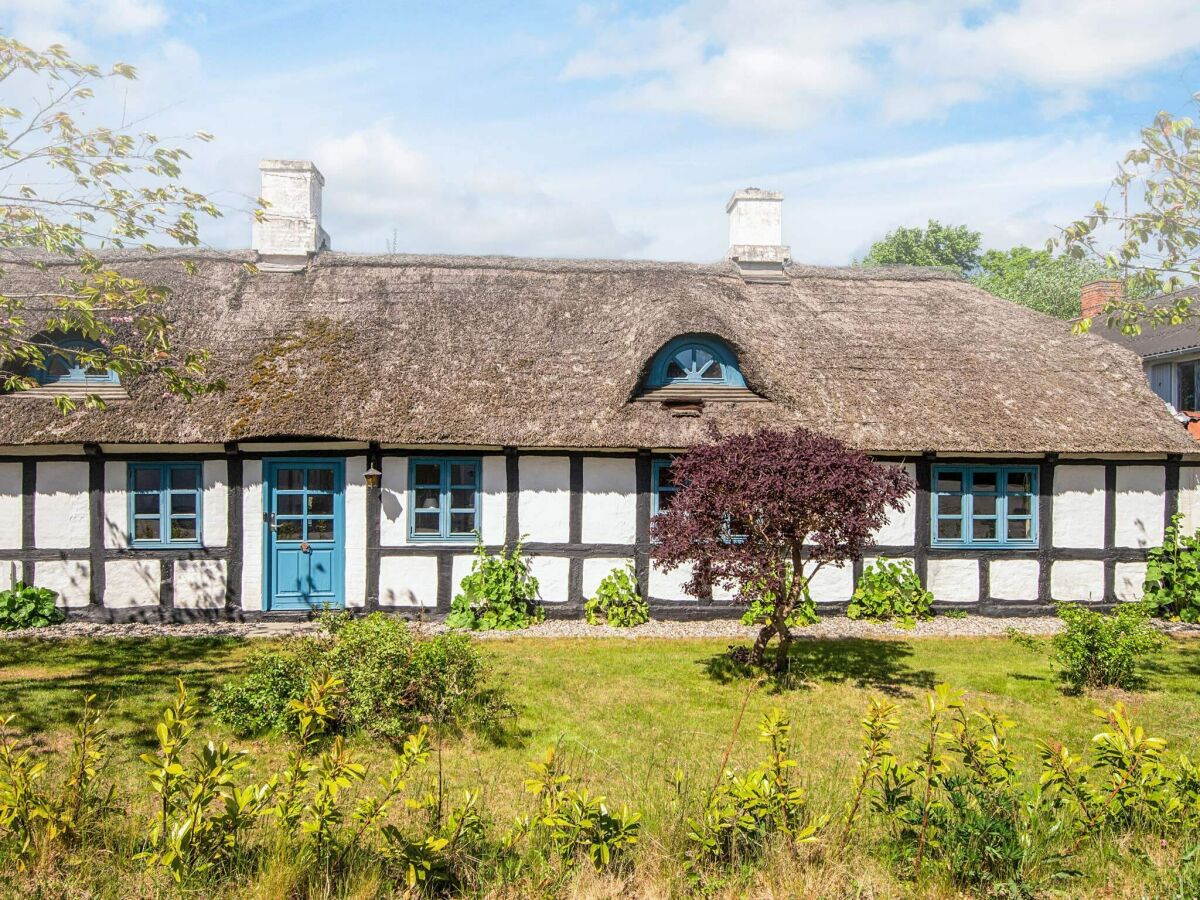 Holiday house House with beautiful garden - Outdoor photo 5