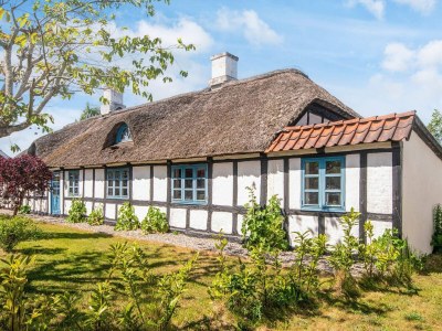 Holiday house House with beautiful garden - Outdoor photo 6