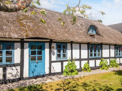 Holiday house House with beautiful garden - Outdoor photo 10