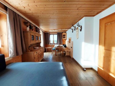 Apartment Chalet in Hochfügen near Ski Slopes - Features photo 13