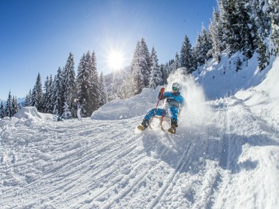 Apartment Chalet in Hochfügen near Ski Slopes - Environment photo 24