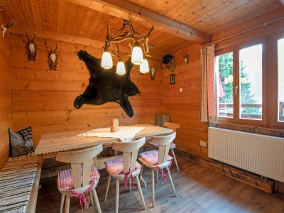 Apartment Hütte in Hochfügen nahe Skipisten in Erste Ferienregion - Apartment