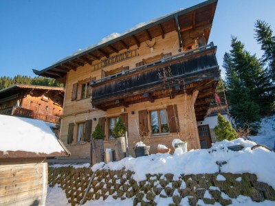 Apartment Hütte in Hochfügen nahe Skipisten - Outdoor photo 4