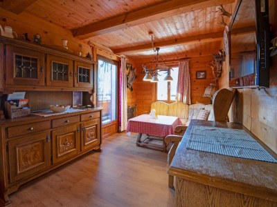Apartment Hütte in Hochfügen nahe Skipisten - Features photo 24