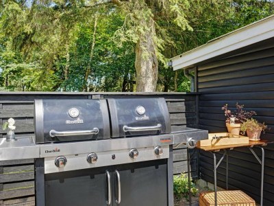 Holiday house Stilvolles Refugium in Lonstrup -- By Traum Ferienwohnungen - Outdoor photo 7