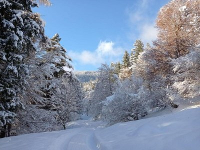 Holiday house Cabin in Stans near Kellerjoch Ski Area - Environment photo 18