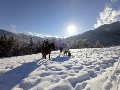 Holiday house Cabin in Stans near Kellerjoch Ski Area - Outdoor photo 20