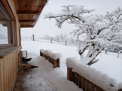 Holiday house Cabin in Stans near Kellerjoch Ski Area - Outdoor photo 23