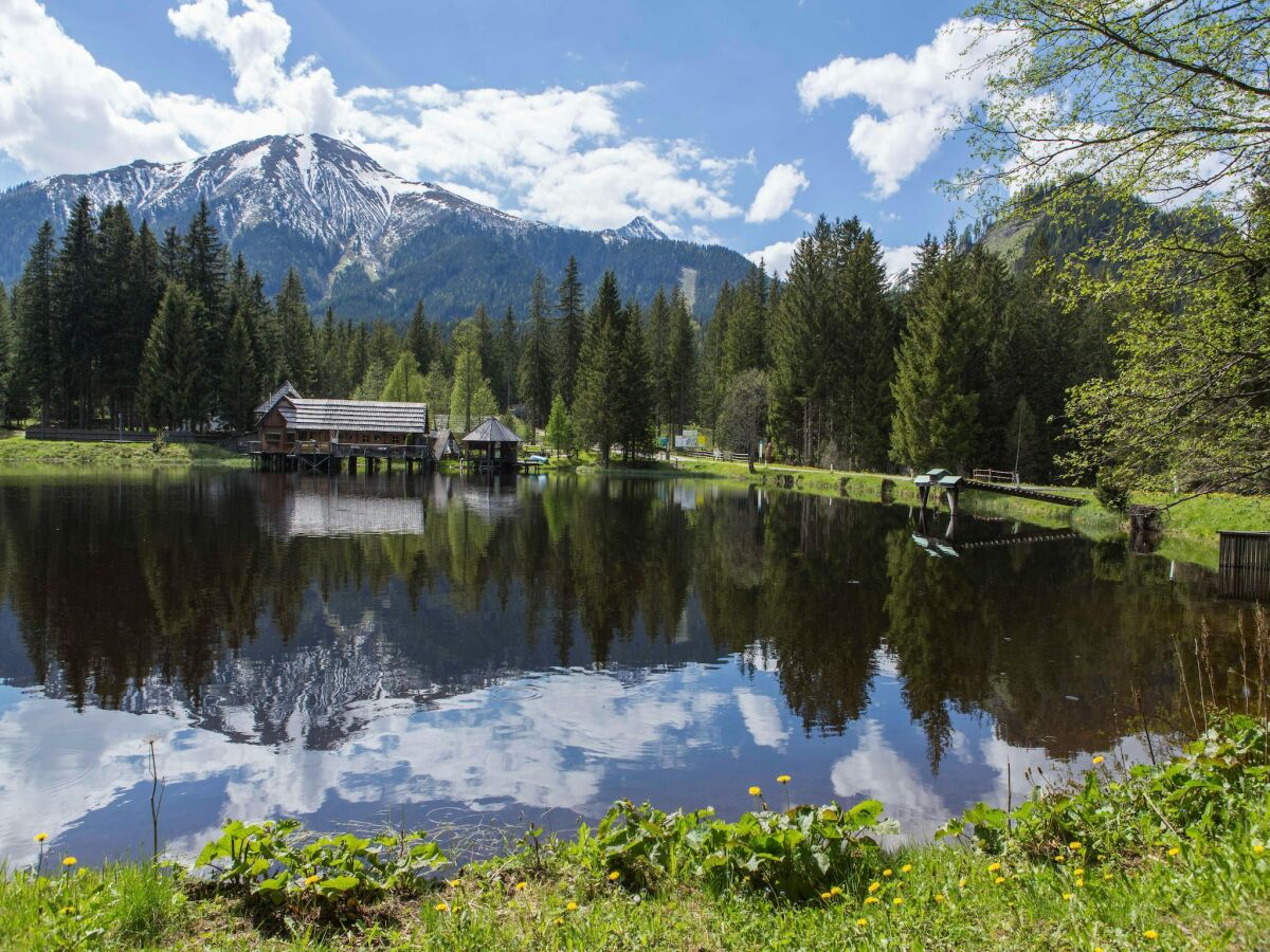 Chalet Superior chalet in Hohentauern near ski-slope - Outdoor photo 5
