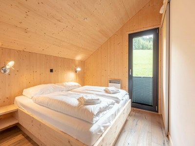 Chalet Superior chalet in Hohentauern near ski-slope - Features photo 21