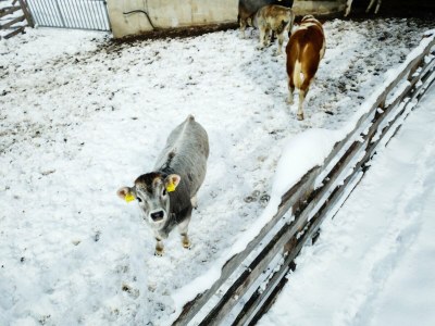 Apartment Wohnung in Kaunerberg nahe Skigebiet - Outdoor photo 23