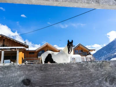 Apartment Wohnung in Kaunerberg nahe Skigebiet - Outdoor photo 39