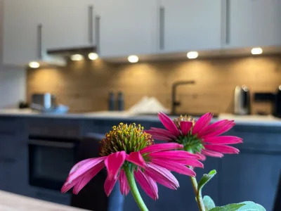 Apartment Wohnung in Kaunerberg nahe Skigebiet - Outdoor photo 40