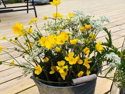 Holiday house 4 person holiday home in ALSVÅG - Outdoor photo 3