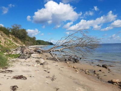 Holiday house 5 star holiday home in Sydals - Outdoor photo 18