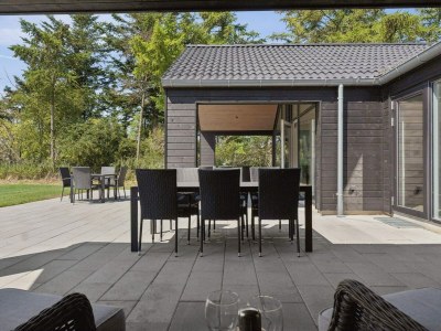 Holiday house 5 star holiday home in Otterup - Outdoor photo 8