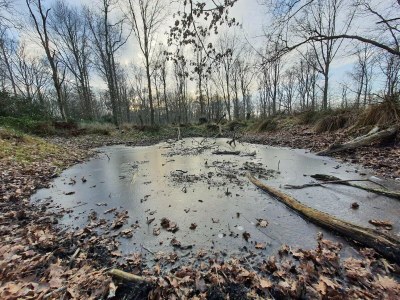 Holiday house 5 star holiday home in Otterup - Outdoor photo 36