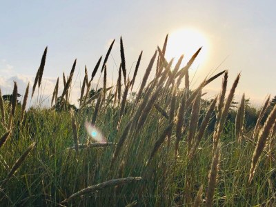 Holiday house 6 Personen Ferienhaus in Væggerløse - Outdoor photo 39