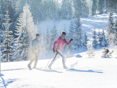 Apartment Ferienwohnung mit 2 Schlafzimmern für 6 Personen - Outdoor photo 20