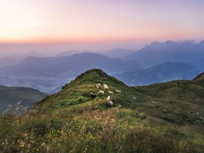 Apartment Ferienwohnung mit 2 Schlafzimmern für 6 Personen - Outdoor photo 27