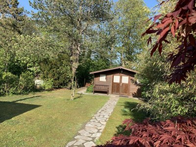 Bungalow Gorgeous bungalow for 2pers at Duinland - Outdoor photo 20