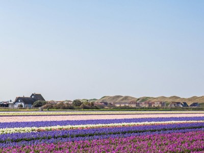 Holiday apartment Wijde Blick 1.10 - Environment photo 21