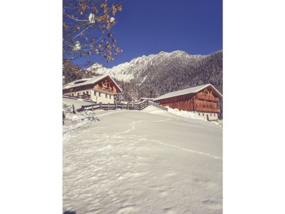 Holiday apartment Kuglerhof - Outdoor photo 5