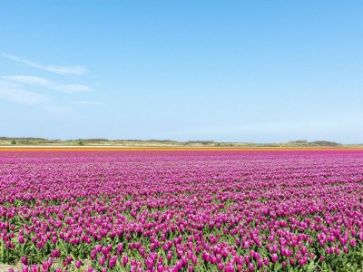 Bungalow Gorgeous holiday home by the beachside - Outdoor photo 22