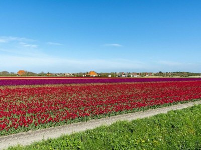 Villa Luxury villa on the water with garden - Outdoor photo 21