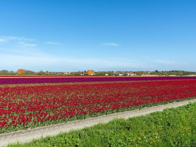 Villa Luxury villa on the water with garden - Outdoor photo 39