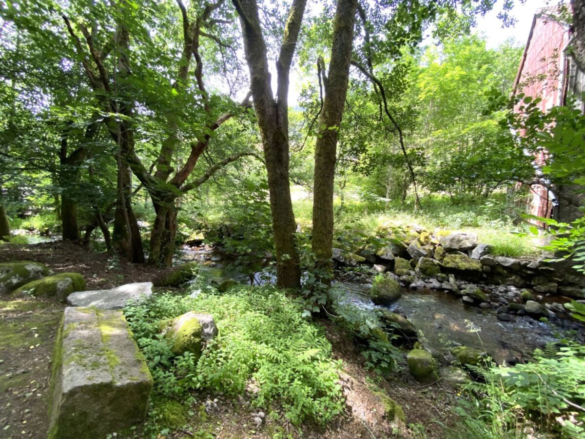 Chalet Chalet in La Bresse mit Bergblick - Outdoor photo 2