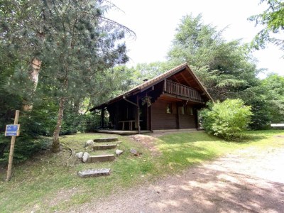 Chalet Chalet in La Bresse mit Bergblick - Outdoor photo 4