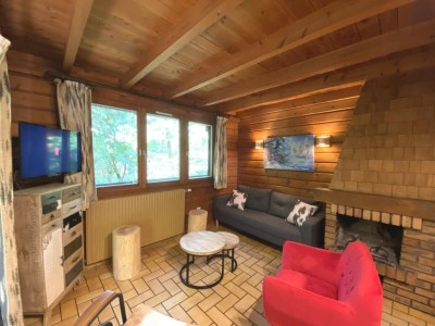 Chalet Chalet in La Bresse mit Bergblick - Features photo 20
