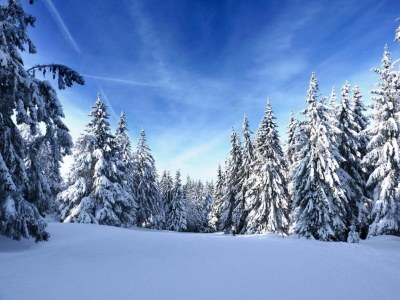 Apartment Apartment in La Bresse near River & Ski Resort - Environment photo 16
