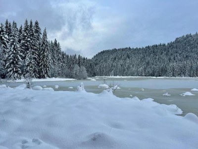 Apartment Apartment in La Bresse near River & Ski Resort - Environment photo 25