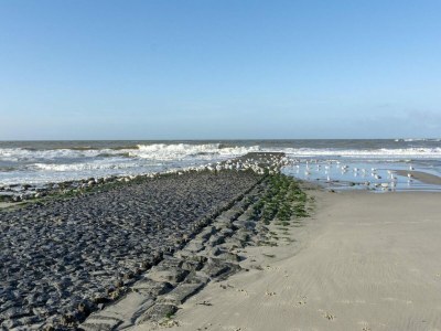 Apartment Modern beach side home - Outdoor photo 20