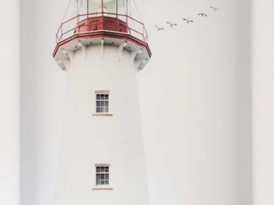 Apartment The Ladybug Terrace fully equipped - Outdoor photo 2