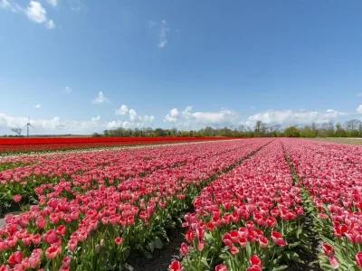 Holiday house Cozy holiday home near beach - Outdoor photo 17