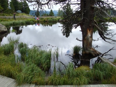 Holiday apartment 1 im Haus-Siebenbrunn - Environment photo 29