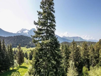 Apartment Alpine Apartment in Chamrousse - Environment photo 25