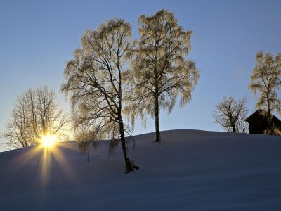 Holiday apartment Sunshine III - Environment photo 26