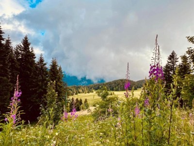Apartment Alpine Escape in Chamrousse - Environment photo 30