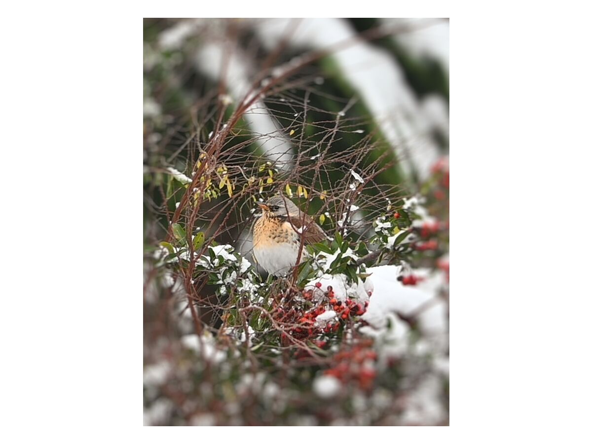 Holiday apartment Benedix. - Outdoor photo 4