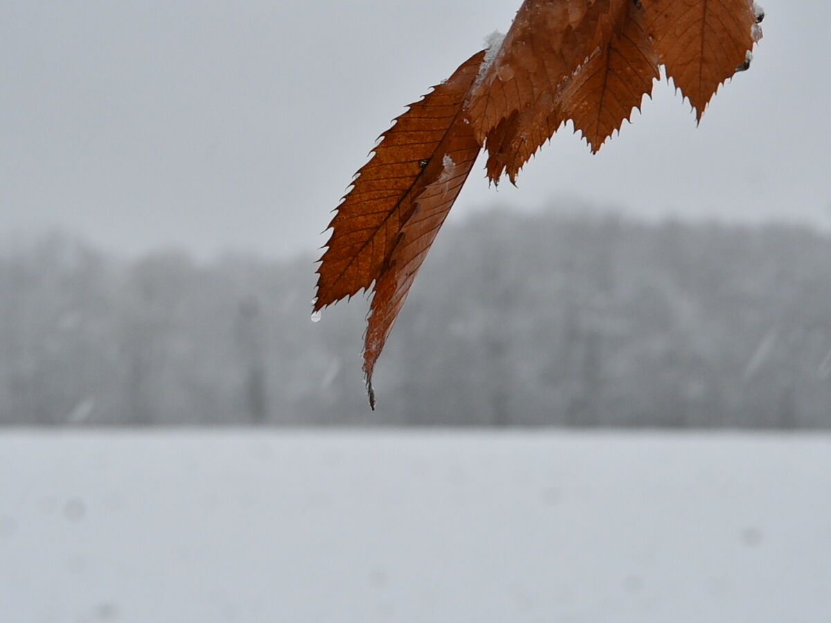 Holiday apartment Benedix. - Outdoor photo 5