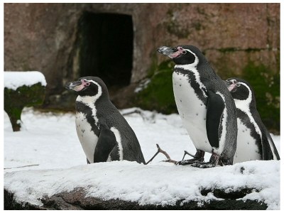 Holiday apartment Benedix. - Outdoor photo 2