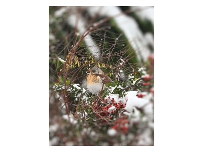 Holiday apartment Benedix. - Outdoor photo 4