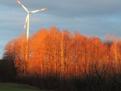 Holiday apartment Benedix. - Environment photo 20