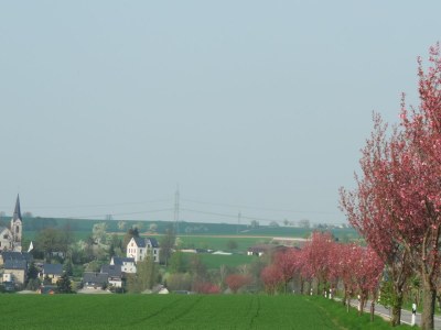 Holiday apartment Benedix. - Document photo 24